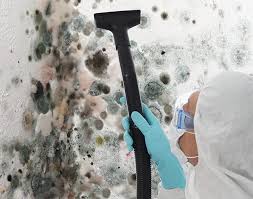 Best Attic Mold Removal  in Spring Hope, NC